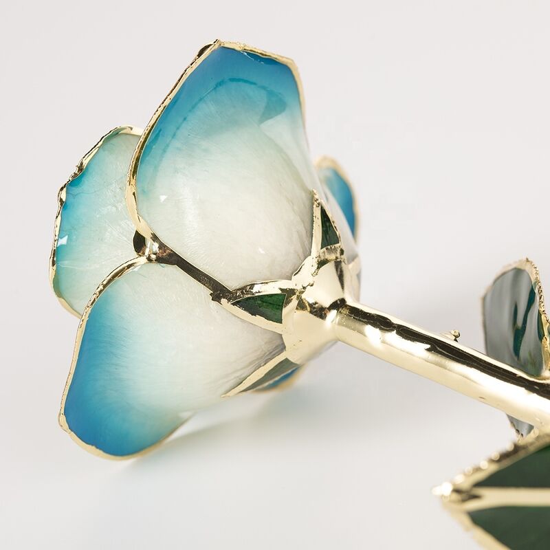 quality 24k Gold Eternal Rose Flower Real Preserved Rose  Blue White Preserved Fresh Flower Preserved Gold Rose factory