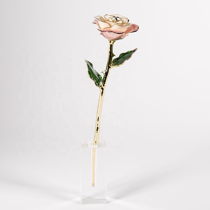 quality 2020 Upgraded 24K Gold Dipped and Trimmed Real Preserved Fresh Eternal Rose Flower Wholesale Preserved Roses Factory factory