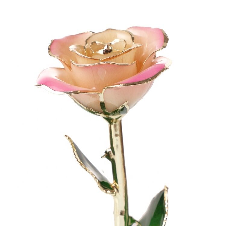 quality Hot Sale Gold Trimmed  Rose Flower Girlfriend Gift 24k Gold Plated Natural Rose for Valentine's Day, Mother's Day Gifts factory