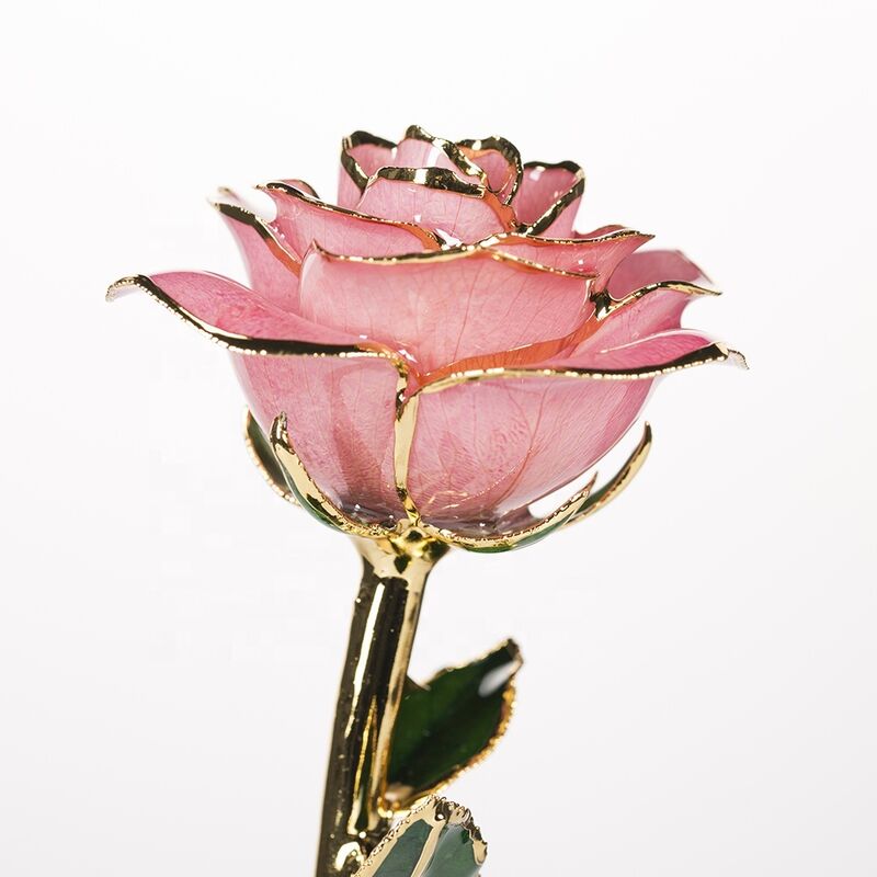 quality Pink Rose 24Kt Gold Dipped Natural Rose Manufacture Directly Supply  Gold Platedd Rose  for Christmas Birthday  Gift factory