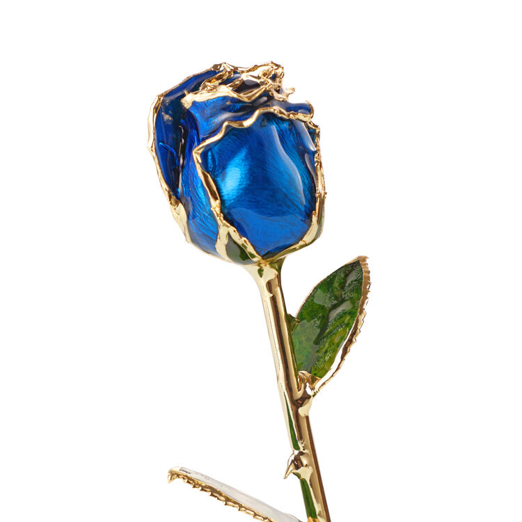quality Half-blooming 24k Gold Dipped Blue  Rose Rose Preserved Flowers  Gold Rose for Christmas Valentine's Day Mother's Day  Gifts factory