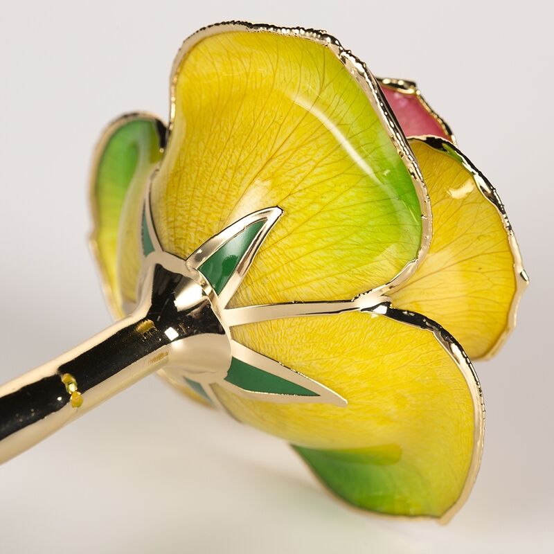 quality 2024 Updated 24k Gold Plated Rose  Valentine Mother Day Gifts Handmade Preserved Rose Eternal Rose factory