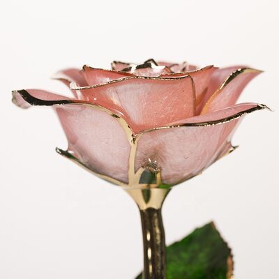 quality Wholesale Real Rose Dipped 24k Gold  Preserved Fresh Flower Peach pink Everlasting Rose for Valentine's Day, Birthday Gifts factory