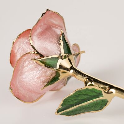 quality Wholesale Real Rose Dipped 24k Gold  Preserved Fresh Flower Peach pink Everlasting Rose for Valentine's Day, Birthday Gifts factory