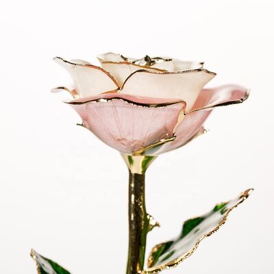 quality 2020 Upgraded 24K Gold Dipped and Trimmed Real Preserved Fresh Eternal Rose Flower Wholesale Preserved Roses Factory factory