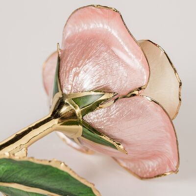 quality 2020 Upgraded 24K Gold Dipped and Trimmed Real Preserved Fresh Eternal Rose Flower Wholesale Preserved Roses Factory factory