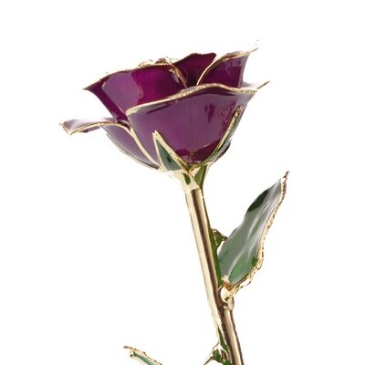 quality Wholesale High Quality 24K Gold Dipped Real Natural Rose  Artificial Roses for Valentines Day Gifts factory