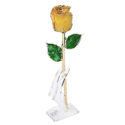 quality High Quality Gold Trimmed Rose Preserved Flower Beautiful Handmade Gifts for Woman factory