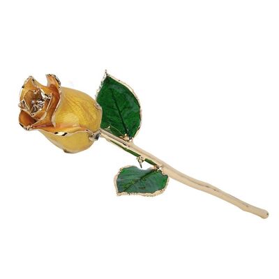 quality High Quality Gold Trimmed Rose Preserved Flower Beautiful Handmade Gifts for Woman factory