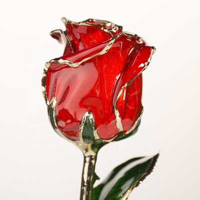 quality Gold Plated Rose Fresh Preserved Flower Gold Plated Natural Rose Everlasting Rose Flowers Wholesale Valentine Mother Day factory