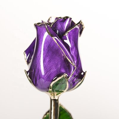 quality 24k Gold Trimmed Rose Fresh Preserved Flower Gold Plated Natural Rose Handmade Preserved Rose factory