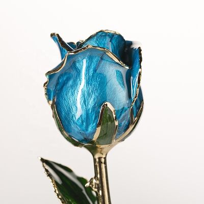 quality Gold Dipped Real Natural Rose Handmade Preserved Rose Mother's Day Everlasting Rose Wholesale Directly Supply factory