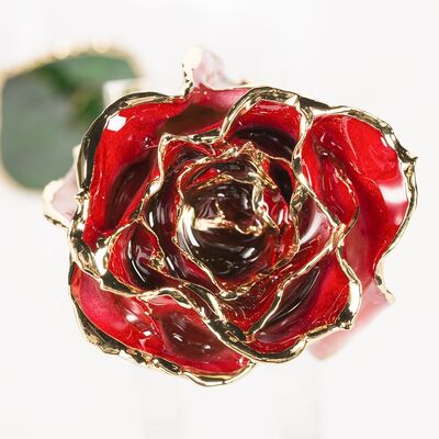 quality Gold Trimmed Rose Everlasting Rose  Natural Rose with Stem Present  Rose Gift Valentine Mother Day Preserved Flowers Supply factory